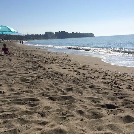 Jardines De Nueva Galera En *