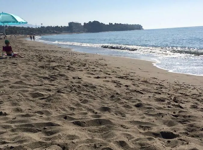 Jardines De Nueva Galera En *